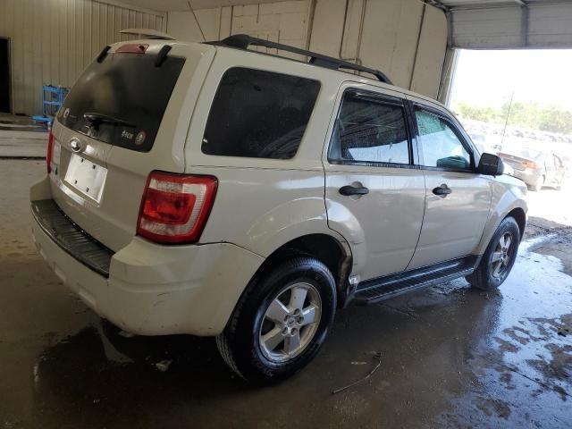 2009 Ford Escape XLT