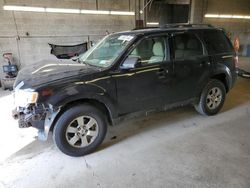 Ford Escape Limited salvage cars for sale: 2011 Ford Escape Limited