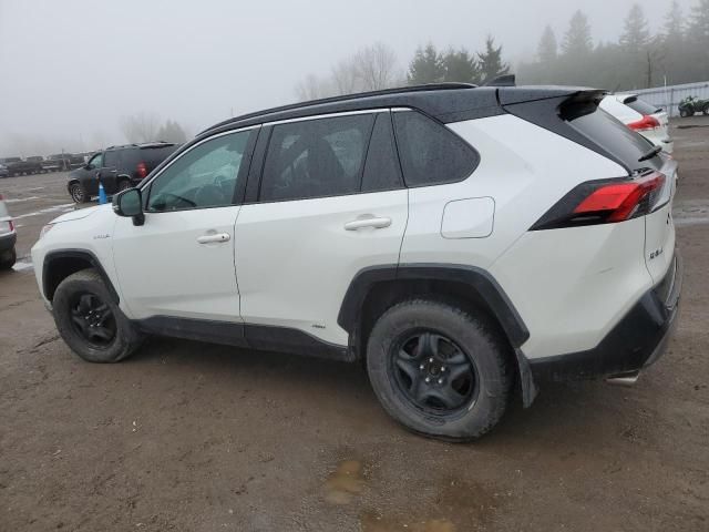 2019 Toyota Rav4 XLE