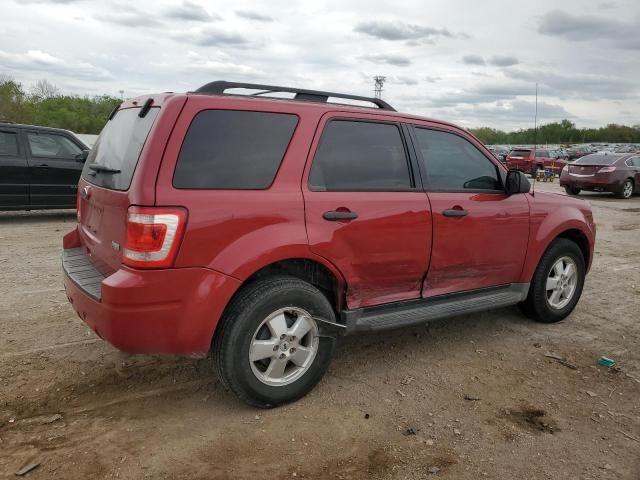 2011 Ford Escape XLT