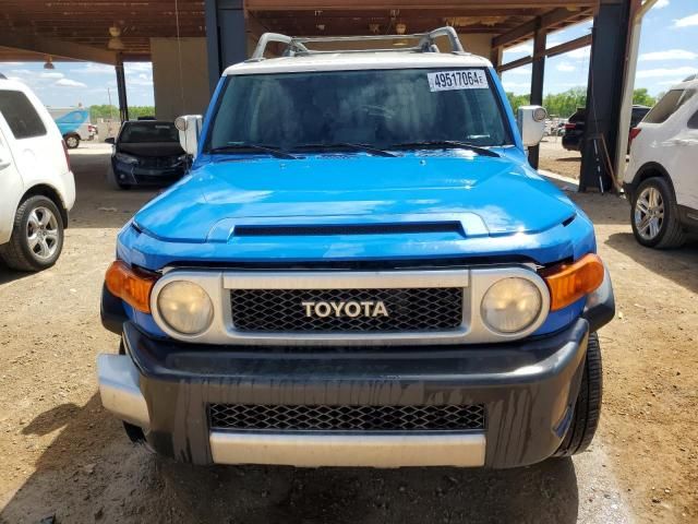 2007 Toyota FJ Cruiser