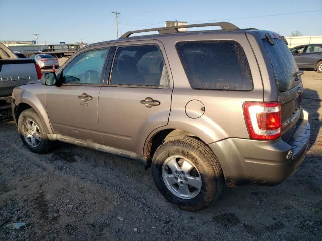 2012 Ford Escape XLT