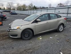 Salvage cars for sale at Grantville, PA auction: 2016 Ford Focus SE