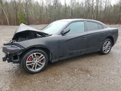 Salvage cars for sale from Copart Ontario Auction, ON: 2016 Dodge Charger SXT