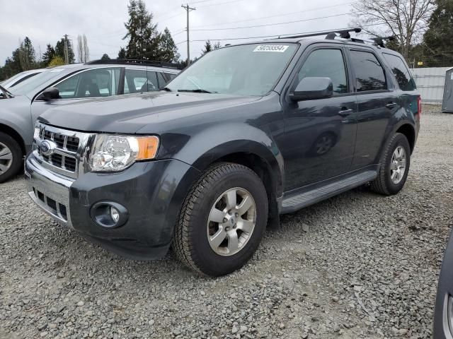 2009 Ford Escape Limited