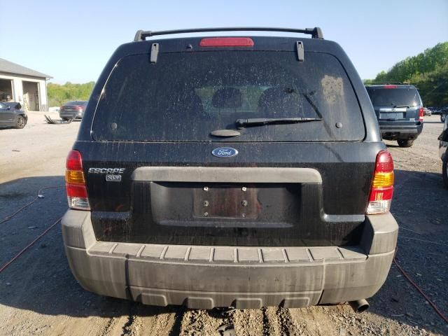 2007 Ford Escape XLT