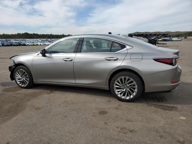 2019 Lexus ES 350