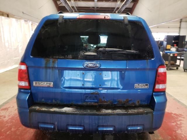 2011 Ford Escape XLT