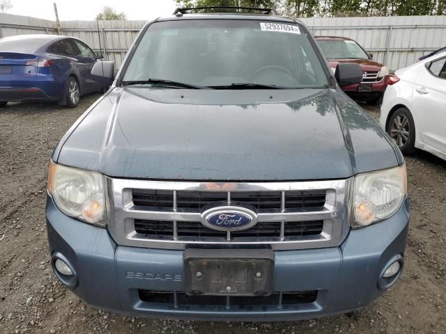 2012 Ford Escape XLT