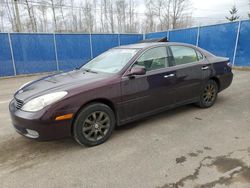 Salvage cars for sale from Copart Moncton, NB: 2002 Lexus ES 300