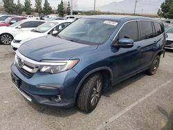 Salvage cars for sale from Copart Rancho Cucamonga, CA: 2019 Honda Pilot EX