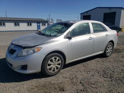 Salvage cars for sale from Copart Airway Heights, WA: 2010 Toyota Corolla Base