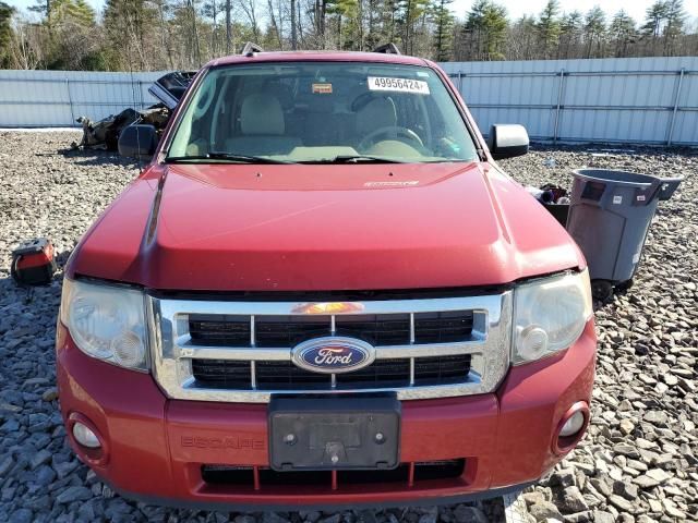 2011 Ford Escape XLT