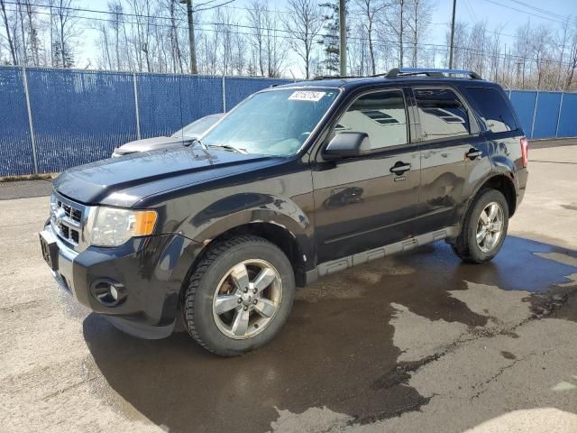 2011 Ford Escape Limited