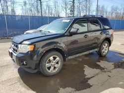 Salvage cars for sale from Copart Moncton, NB: 2011 Ford Escape Limited