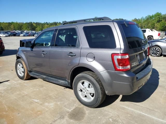 2010 Ford Escape XLT