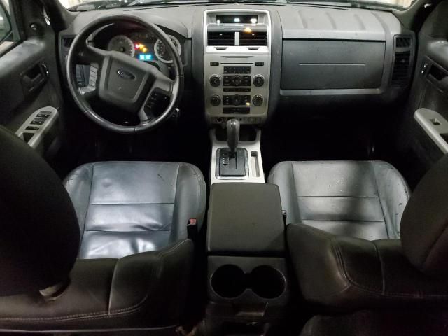 2009 Ford Escape XLT