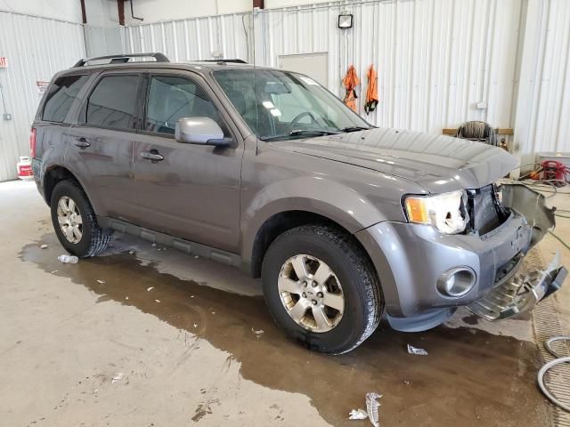 2011 Ford Escape Limited