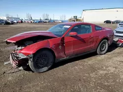 Salvage cars for sale at Rocky View County, AB auction: 2012 Ford Mustang