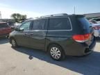 2010 Honda Odyssey EXL