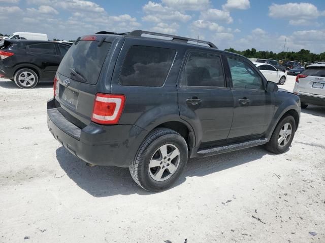 2009 Ford Escape XLT