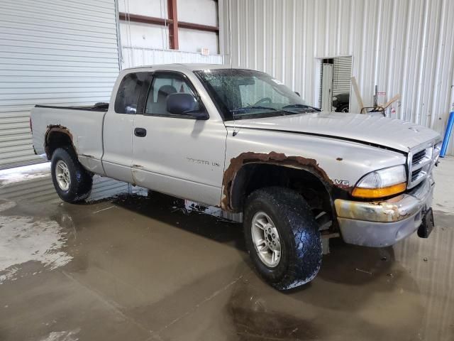 2000 Dodge Dakota