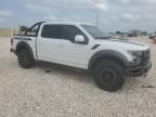 2019 Ford F150 Raptor