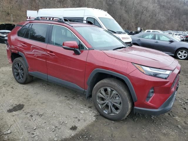 2023 Toyota Rav4 XLE Premium