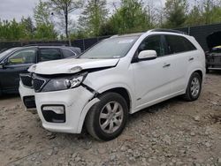 Salvage cars for sale from Copart Waldorf, MD: 2013 KIA Sorento SX