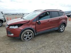 Salvage cars for sale from Copart San Diego, CA: 2014 Ford Escape SE