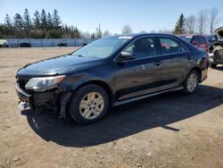 Salvage cars for sale from Copart Ontario Auction, ON: 2013 Toyota Camry L