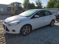 Ford Focus SE salvage cars for sale: 2014 Ford Focus SE