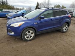 Salvage cars for sale from Copart Bowmanville, ON: 2013 Ford Escape SE