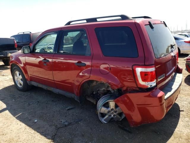 2010 Ford Escape XLT