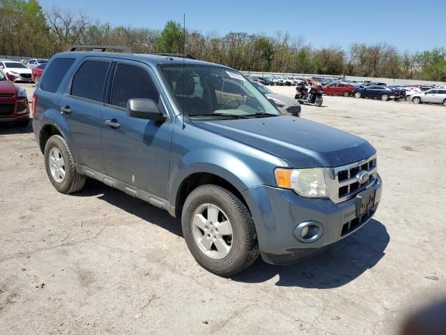 2010 Ford Escape XLT