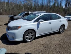 Salvage cars for sale from Copart Bowmanville, ON: 2010 Lexus HS 250H