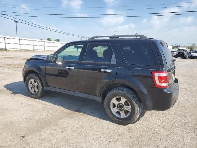 2010 Ford Escape XLT