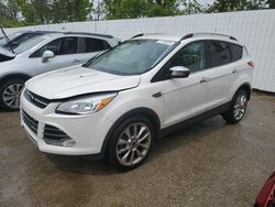 Salvage cars for sale at Bridgeton, MO auction: 2016 Ford Escape SE