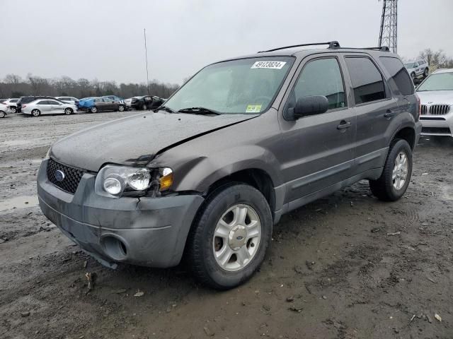 2005 Ford Escape XLT