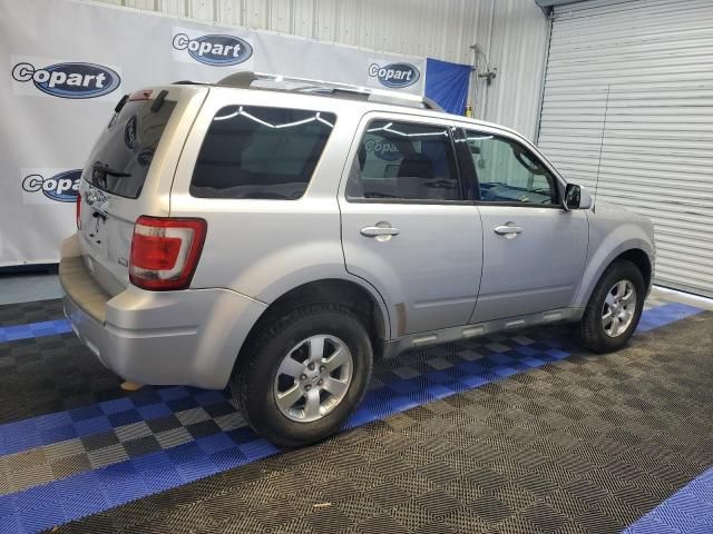 2010 Ford Escape Limited