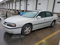 Chevrolet salvage cars for sale: 2003 Chevrolet Impala LS