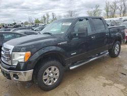Salvage cars for sale at Bridgeton, MO auction: 2013 Ford F150 Supercrew