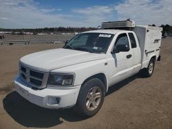 Salvage trucks for sale at Brookhaven, NY auction: 2011 Dodge Dakota SLT