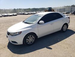 Salvage cars for sale at Harleyville, SC auction: 2013 KIA Forte LX
