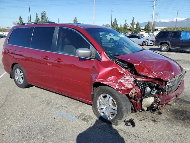 2006 Honda Odyssey EXL