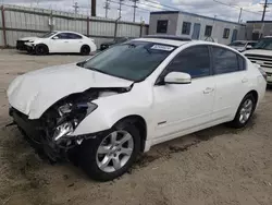 Salvage cars for sale from Copart Los Angeles, CA: 2009 Nissan Altima Hybrid