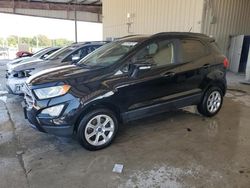 Salvage cars for sale at Homestead, FL auction: 2019 Ford Ecosport SE