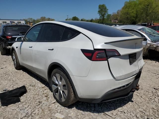 2020 Tesla Model Y