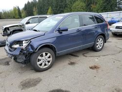 Honda salvage cars for sale: 2009 Honda CR-V EXL