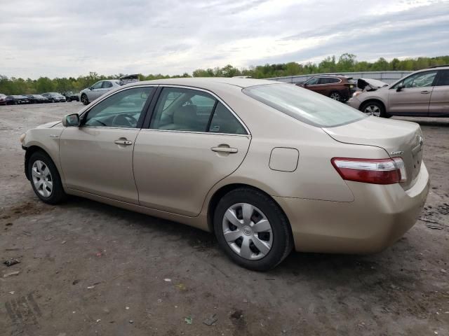 2009 Toyota Camry Hybrid